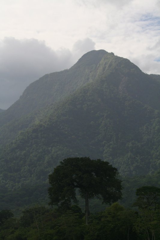 View by La Ceiba