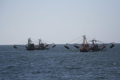 Fishing Boats in Puerto Penasco