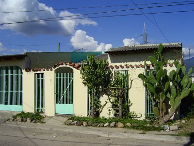 Typical nicer house with various cacti