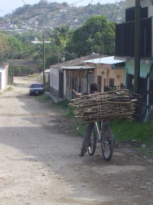 Kenya style bike with firewood