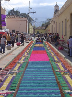 The longest alfombra beside the main cathedral (where the kids were sitting on the bags of sawdust the night before)