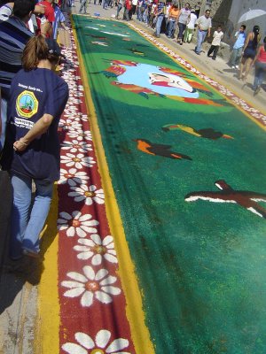 A beautiful carpet with birds and butterflies (Mary is surrounded by the national bird - the macaw)
