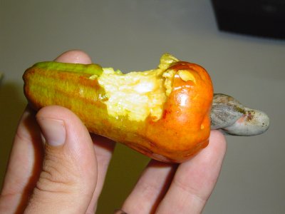 Fruit and Vegetables