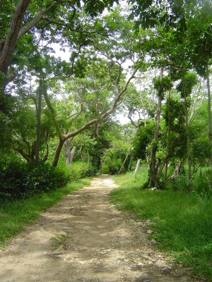 The road to the Jardin de Mariposas