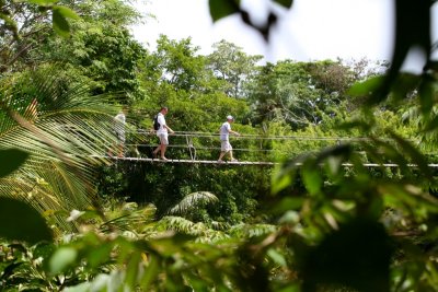 The intrepid explorers brave the suspension bridge over the croc infested waters below