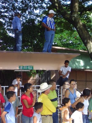 Spectators always find high ground