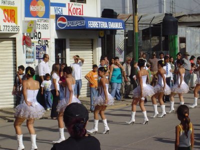 Las palillonas