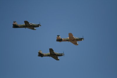 Flight of the Toucans