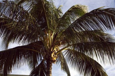 hawaii2007