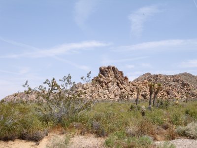 Rocks everywhere