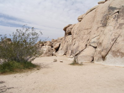 An old trail