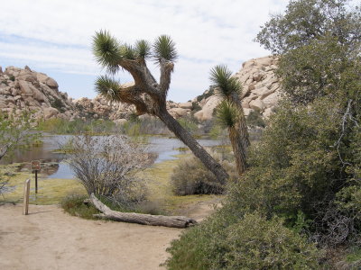 Here is the small lake