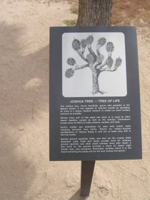 Joshua Tree sign