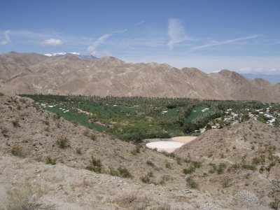 There is green in them there hills