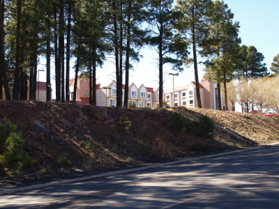 Hotel in the pines, Flagstaff, AZ