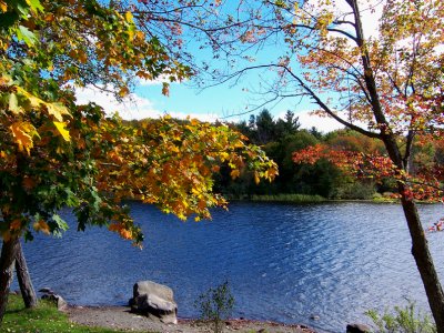 Autumn At Kingsbury Pond