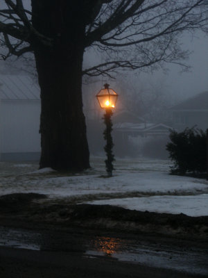 Happy Light In The Fog