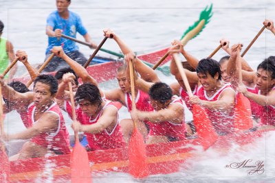 dragon_Boat-1s.jpg