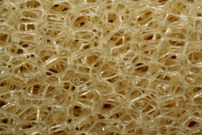 Spongycomb
