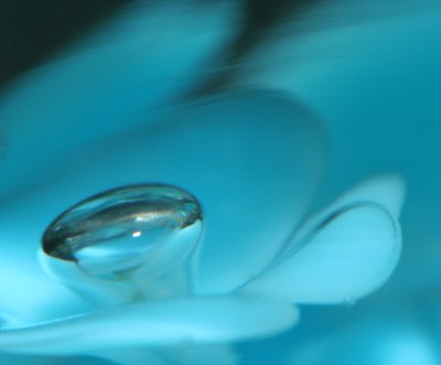 Aqua Flower