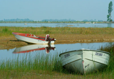 Bass Catchers