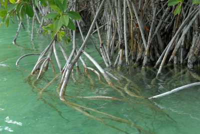 Sian Ka an BioReserve