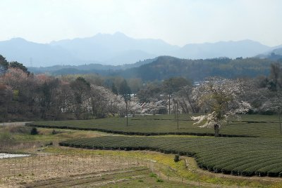 Japan countryside from train