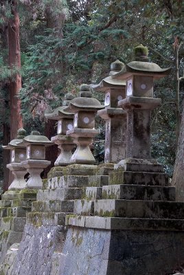 Stone laterns grace Shinto Shrine in Kyoto