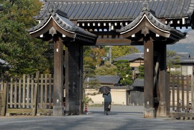 Imperial Palace Garden-Kyoto