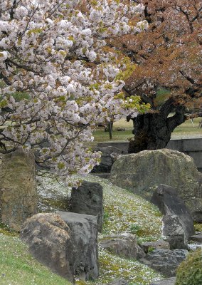 Horyu-ji Temple