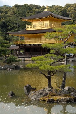 Kinkaku-ji Temple (Golden Pavilion) -Kyoto