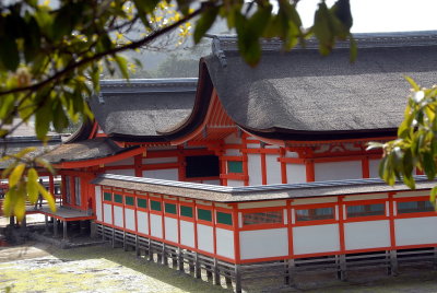 Itsuku Shrine  - Miyajima Island