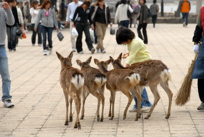 Miyajima Island