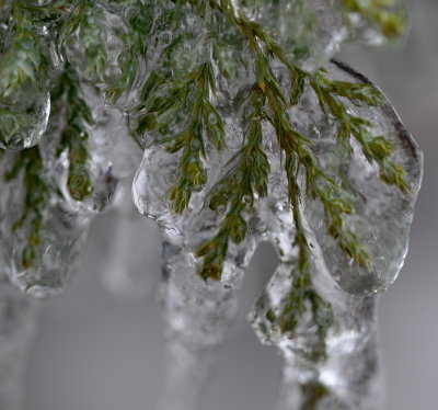 e-ice-BA3_1308.jpg