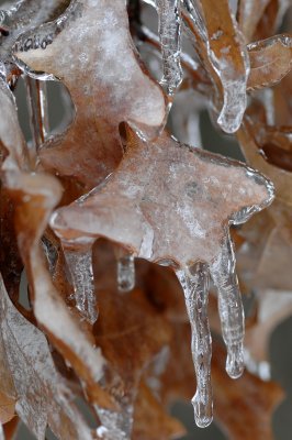 e-ice-BA3_1309.jpg