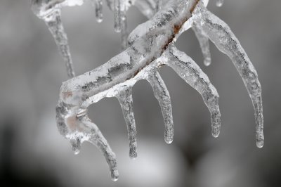 e-ice-BA3_1310.jpg