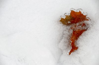 e-ice-BA3_1312.jpg