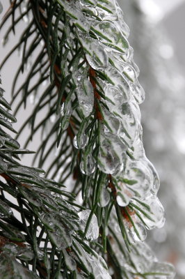 e-ice-BA3_1313.jpg