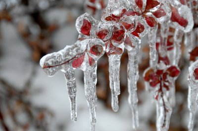 e-ice-BA3_1315.jpg