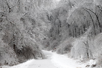 e-ice-BA3_1323.jpg