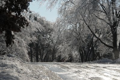 e-ice-BA3_1326.jpg