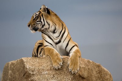 _MG_1552.jpg