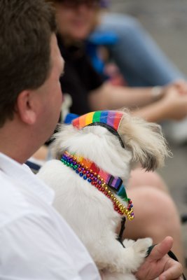 _MG_3256.jpg