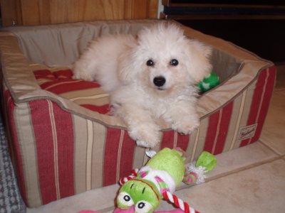 Molly