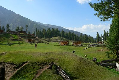 Fairy Meadows - 383.jpg