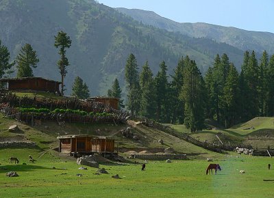 Fairy Meadows - 384.jpg