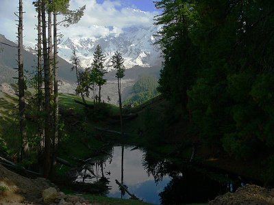 A pond at Fairy Meadows - 444.jpg