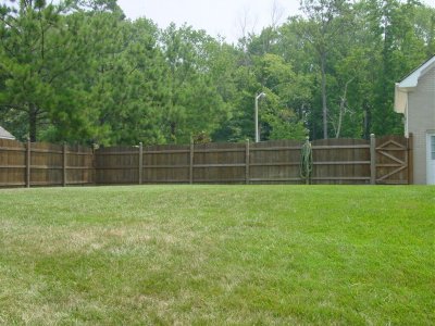 h006.jpg
