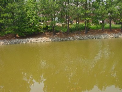h010.jpg