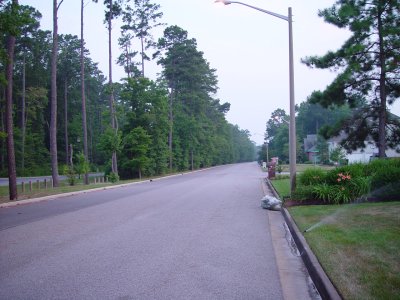 h031.jpg